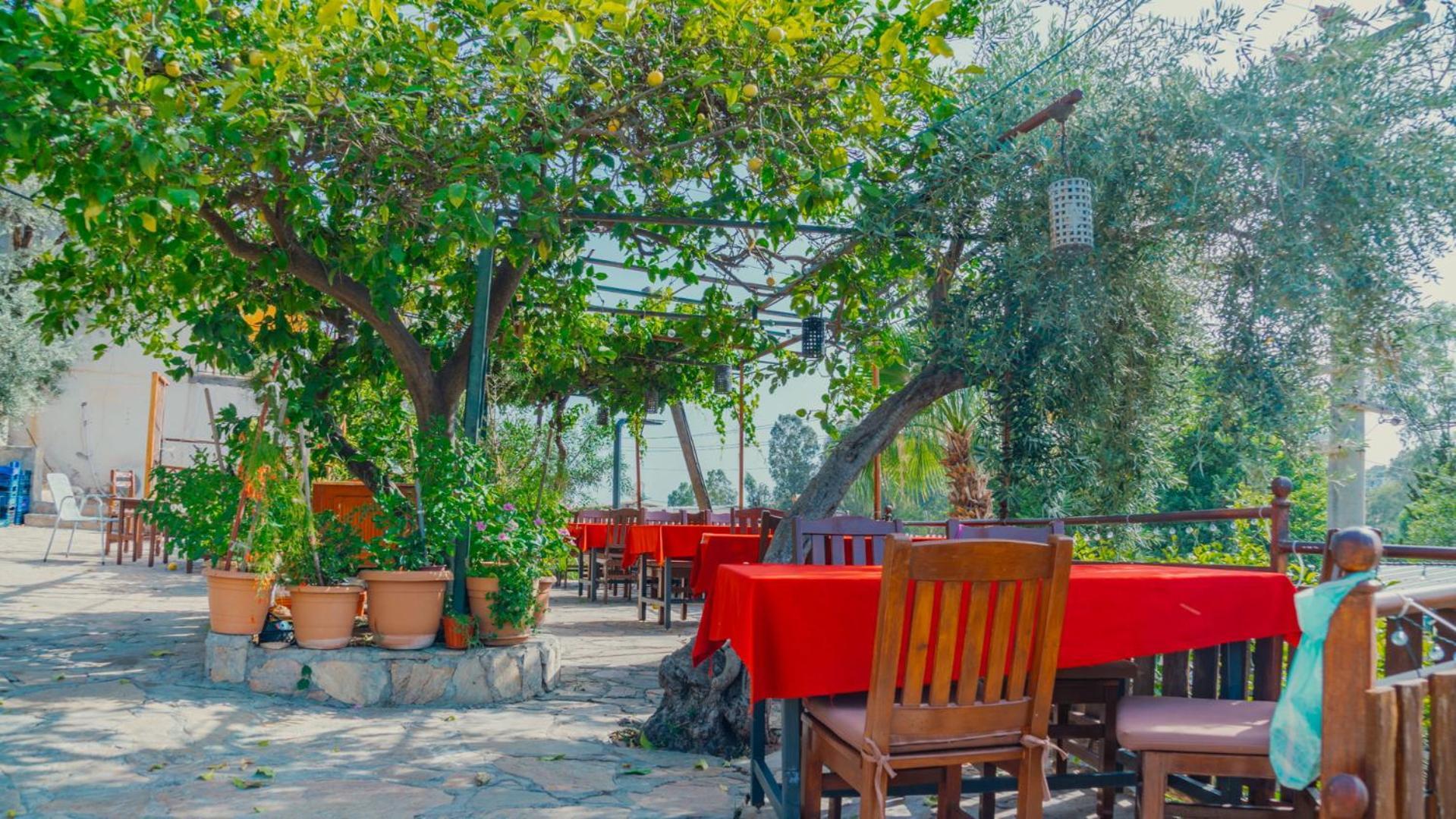 St. Nicholas Pension باتارا المظهر الخارجي الصورة