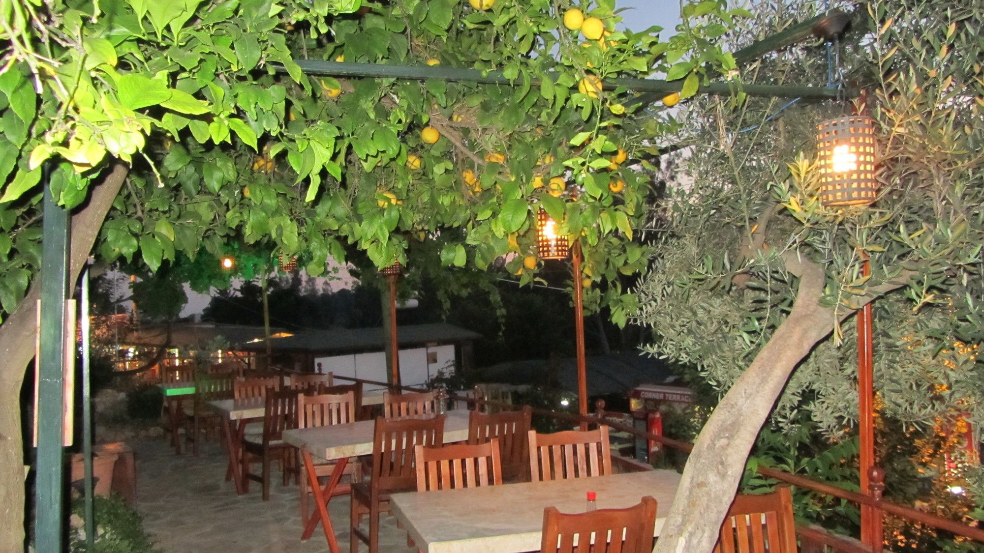 St. Nicholas Pension باتارا المظهر الخارجي الصورة